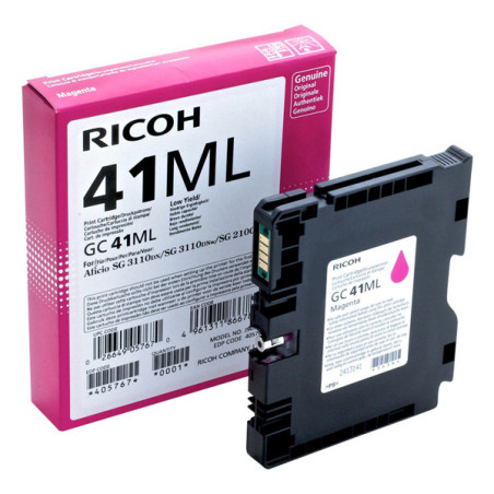 Cartuccia Ink Ricoh GC 41